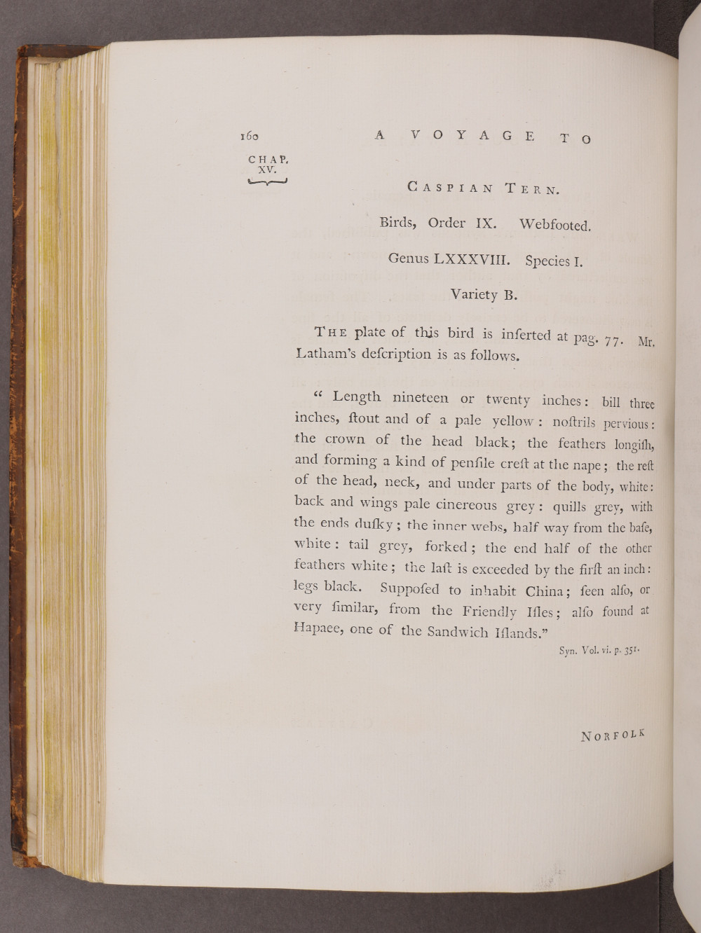 Page 160